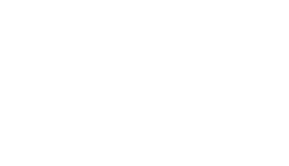 Fabrica FV